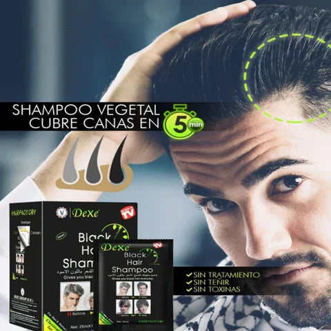 Shampoo Negro Dexe x10: ¡Cubre Canas y Renueva Tu Look